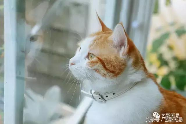 eos6d2照片不够清晰,eos6d2配什么镜头