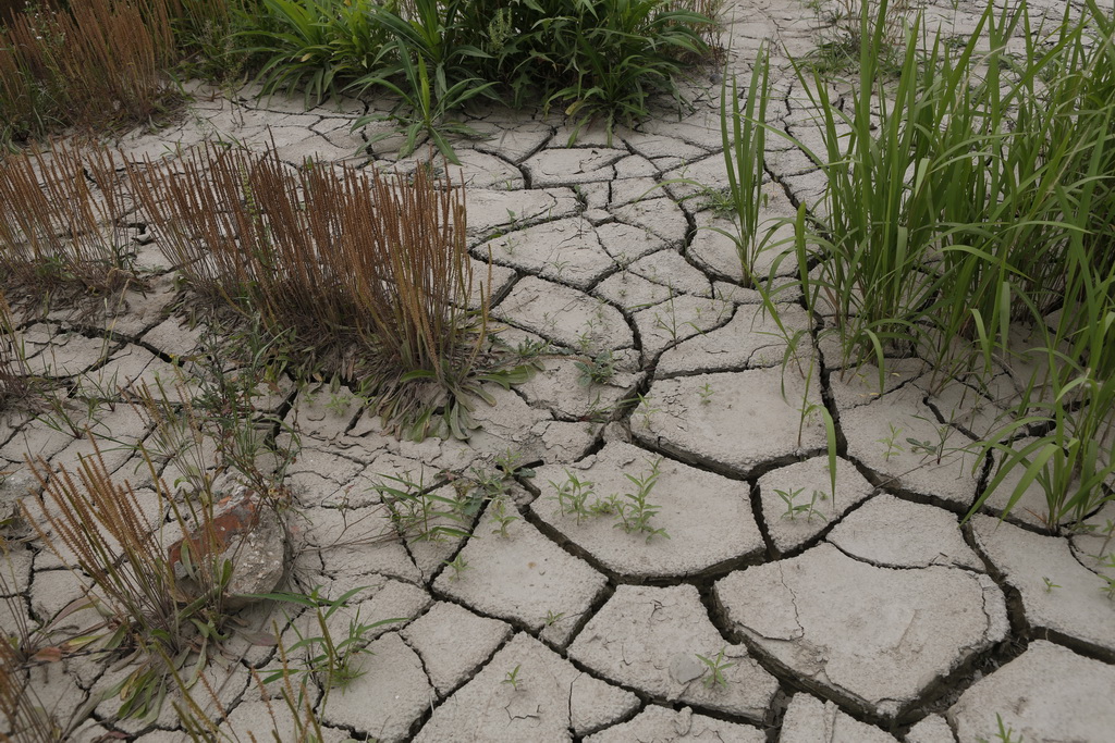 大武汉系列之武汉冶炼厂,大武汉系列之武汉印染厂