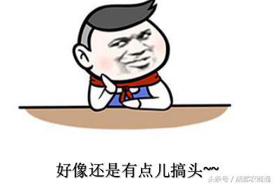 辽宁特种野猪养殖,特种野猪与纯种野猪的养殖前景