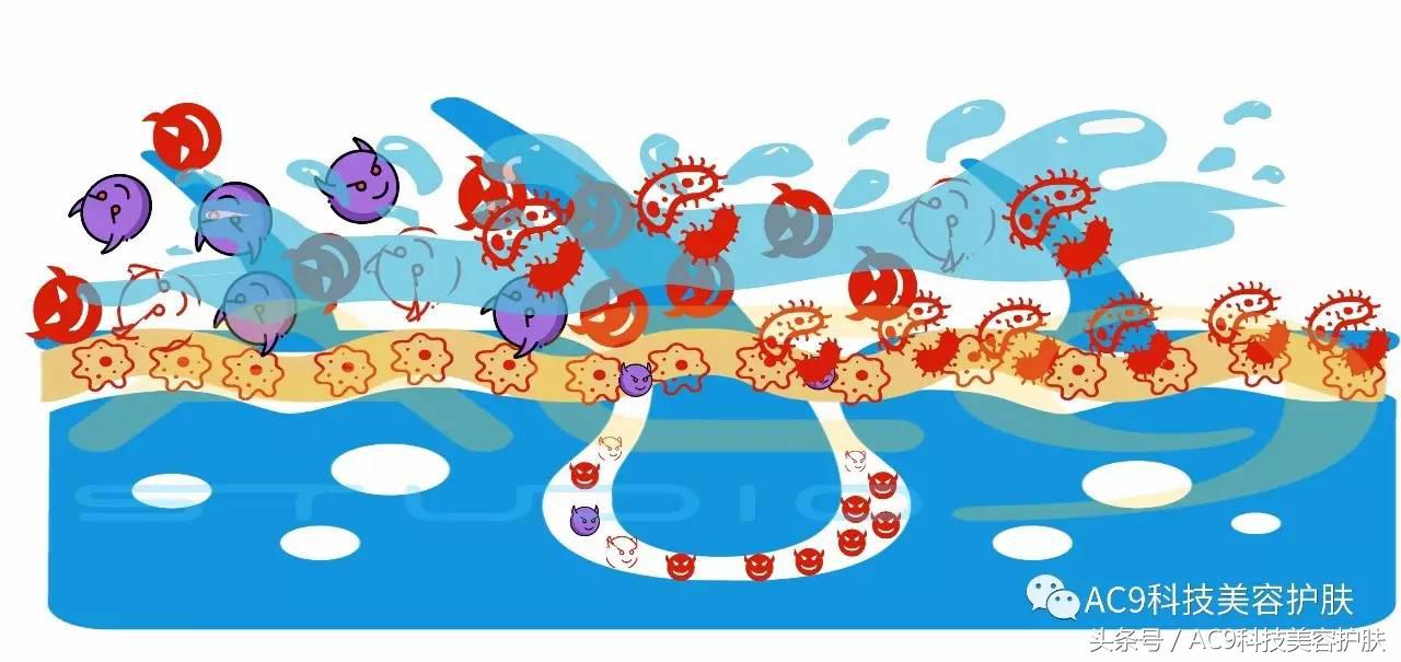 家里用什么洗脸可以清洁皮肤,用什么洗脸清洁皮肤