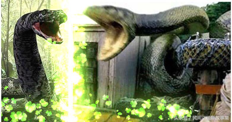 神医深山救治妇人故事,深山寻药真实故事