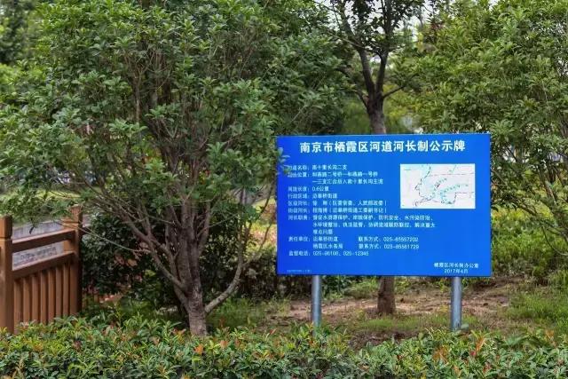 迈皋桥景观改造,迈皋桥老街换新颜