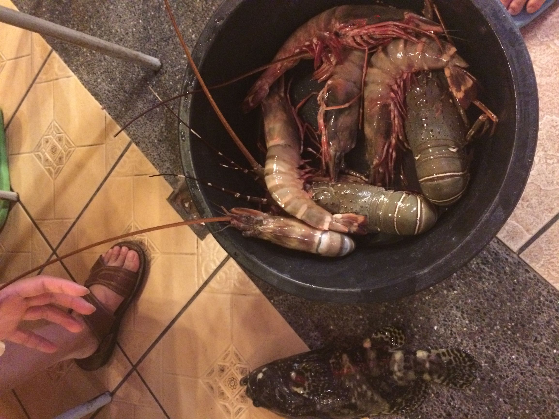 广州到兰卡威自由行攻略,马来西亚兰卡威旅行攻略价格