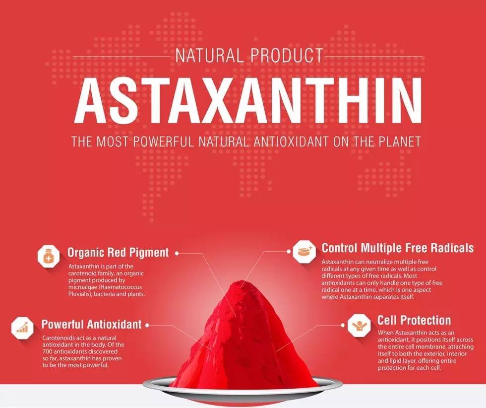 含有虾青素的狗粮幼犬,适合贵宾补钙的狗粮