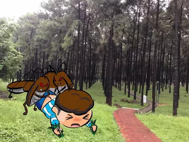 古天乐四大毒虫,古天乐为什么每个赛季都打六战神