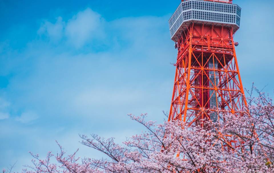 跟兔达人走世界——东京，追寻龙猫的足迹