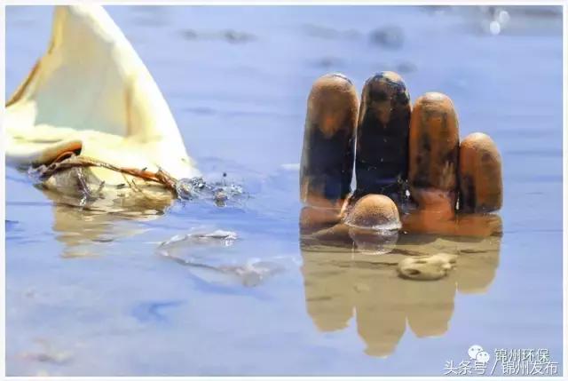 锦州市生态环境优化,你不能错过