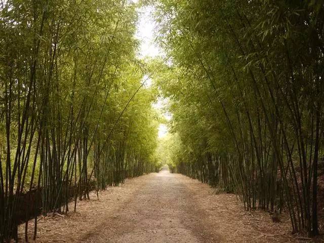 厦门人有福了,金门要招募4名海岛体验者,申请就有机会免费去!