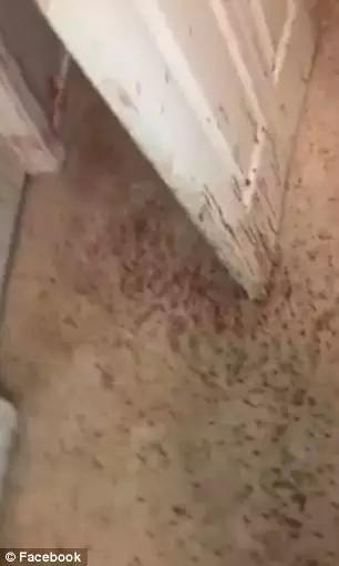 回家发现全家被杀后续,回家发现家里进了贼