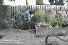 作为一个男人家里顶梁柱,男人在家是顶梁柱在外顶天立地