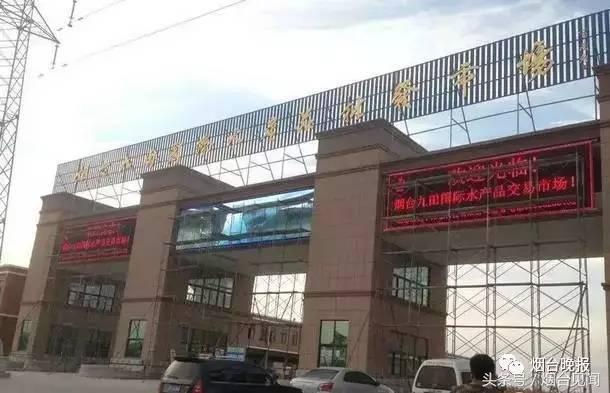 烟台哪里的海鲜便宜又新鲜,山东烟台一年四季的时令海鲜表