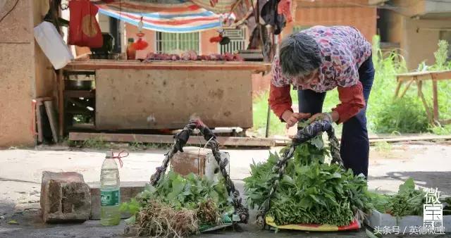 英德这条路分布着四大学府！青春的回忆！看完后我哭了