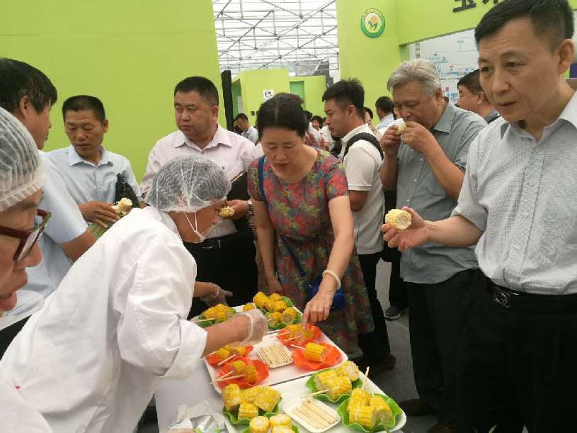 2020年吉林农业,吉林溯质农业怎么样