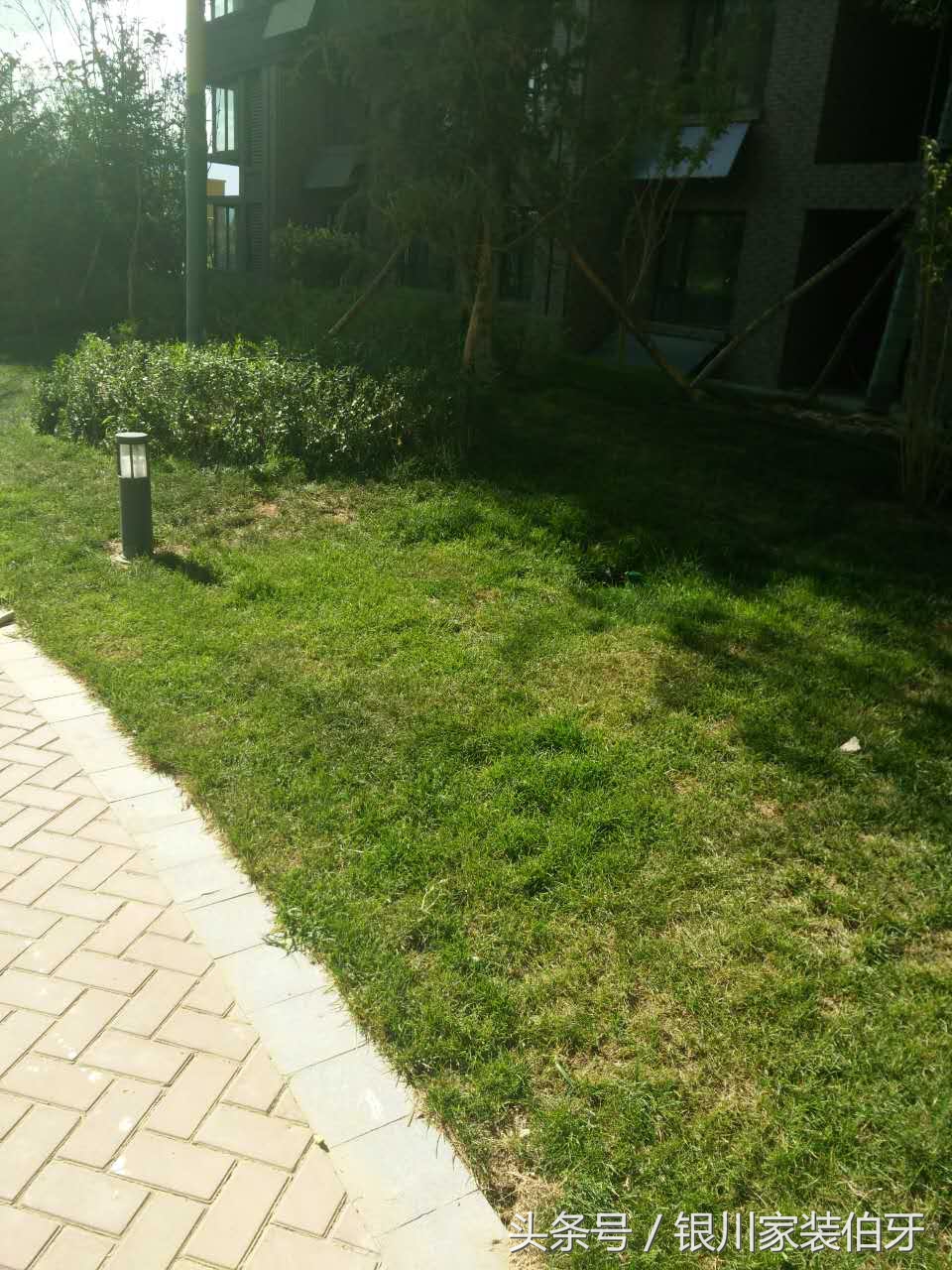 晒！绿地国际花都游记！