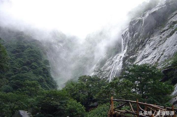 婺源第一名,婺源茶叶第一名