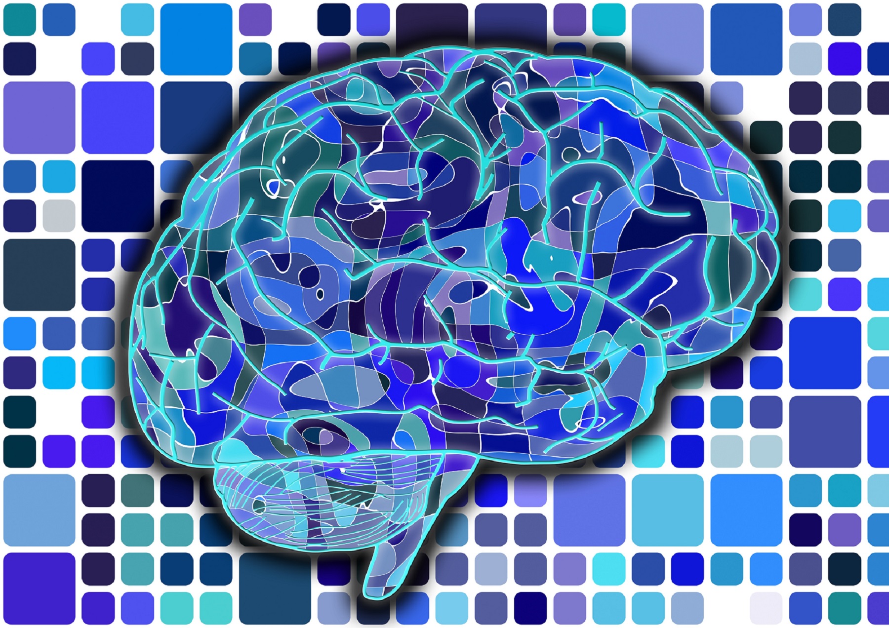 儿童轻度智力障碍,轻度智力障碍人群比例