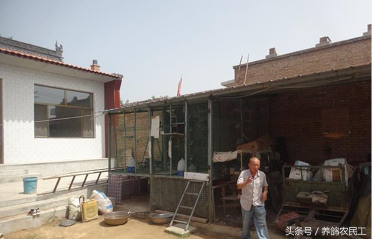 养鸽农民工探访资深鸽友，毫无保留的倾囊相授信鸽可以这样玩！