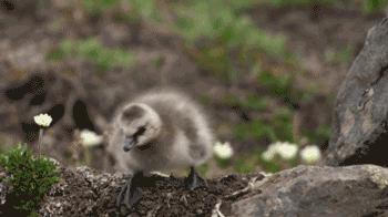 豆瓣9.7的冷门好片，送给每个热爱生命的人