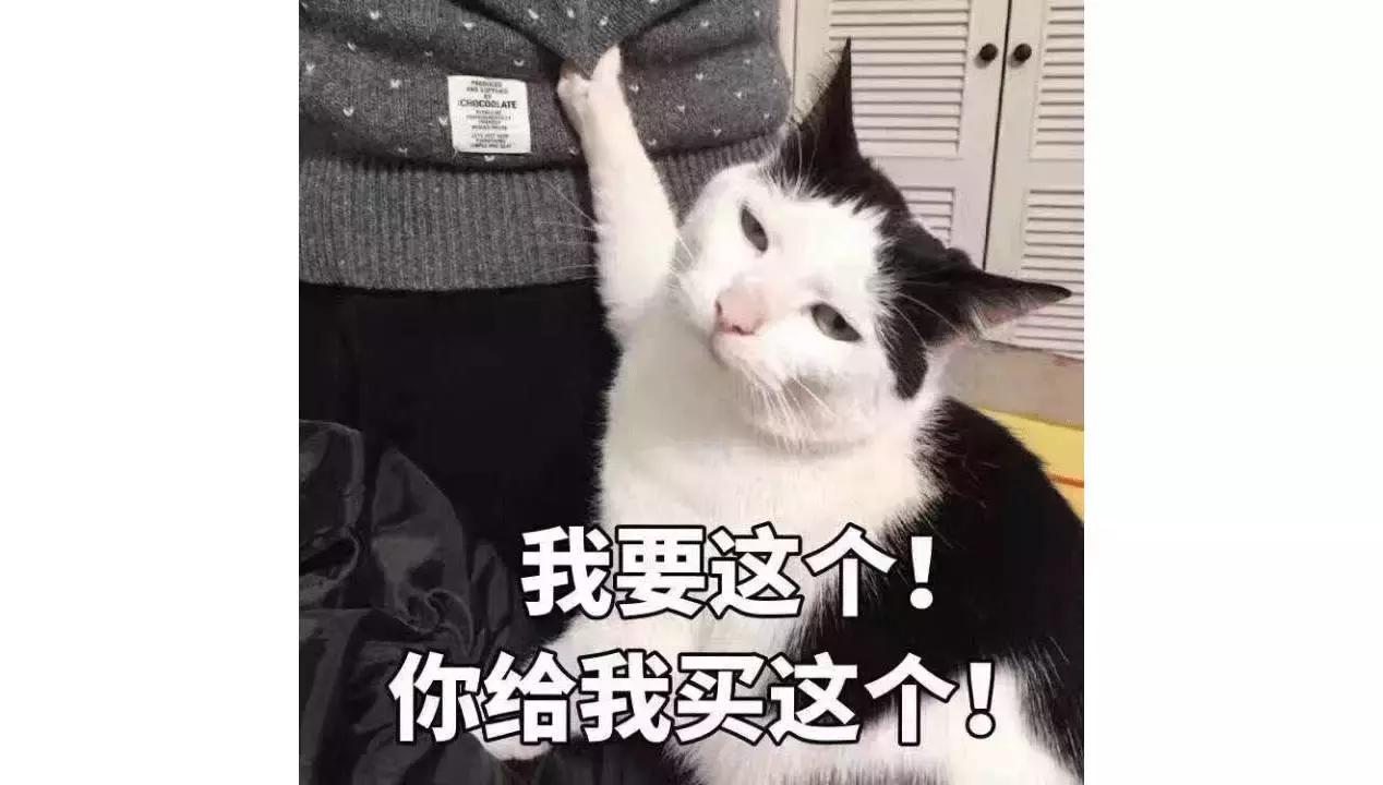 一到十二月彩妆推荐,八月平价彩妆推荐