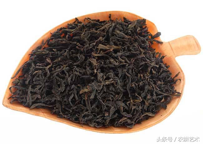 蓝花接骨草主治筋骨疼痛，风湿麻木，半身不遂，跌打损伤