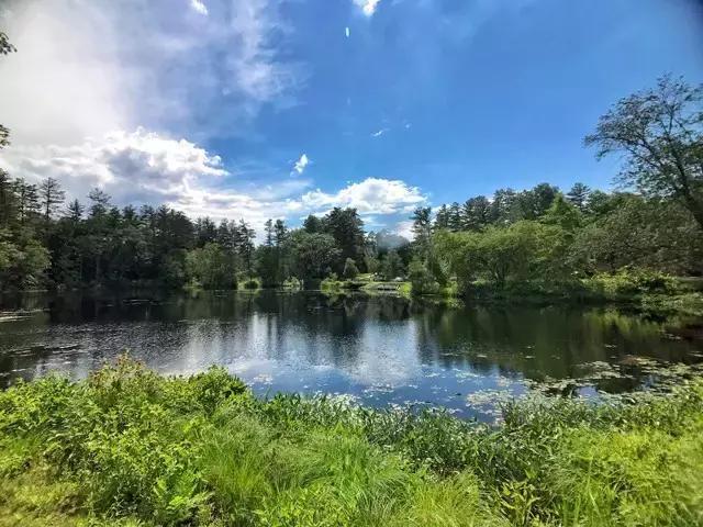 美世带你逛美高｜圣保罗高中