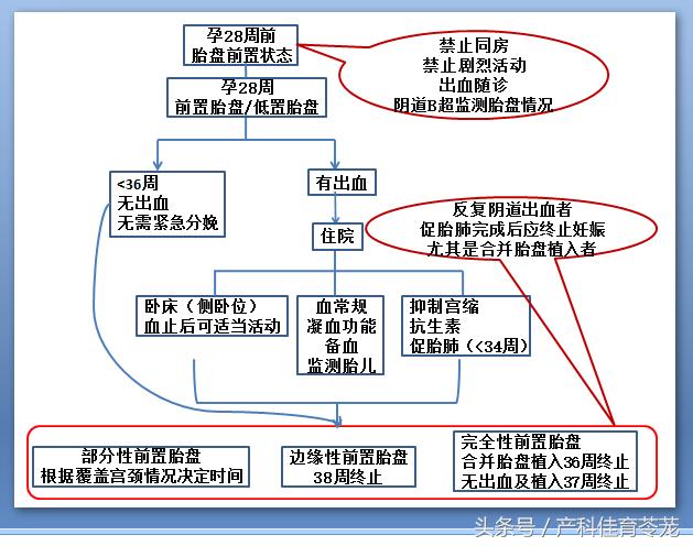 胎盘低就是前置胎盘吗,胎盘位置低在前壁