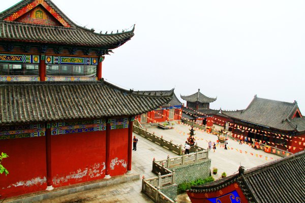 天天有人去山上采蘑菇,每天来观看的游客上万人