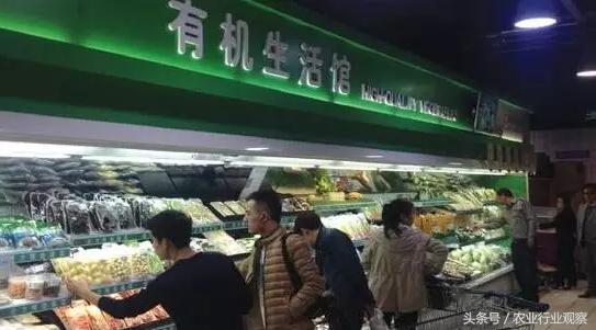 鍊熼浮鐢熻泲鐢熸剰鎬濈淮,鍊熼浮鐢熻泲鎬濈淮