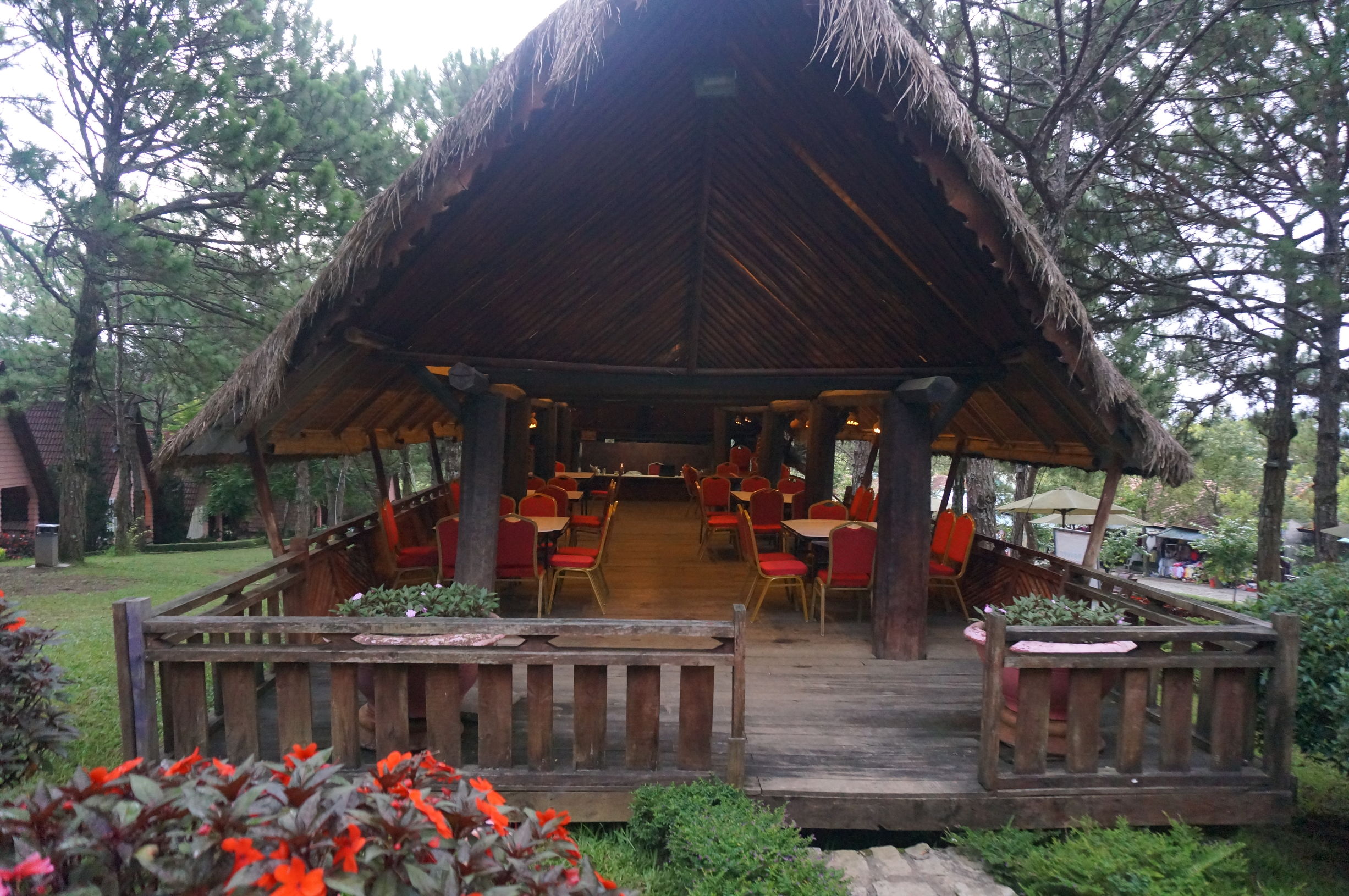 我的越南旅行记,我的芽庄之行全集