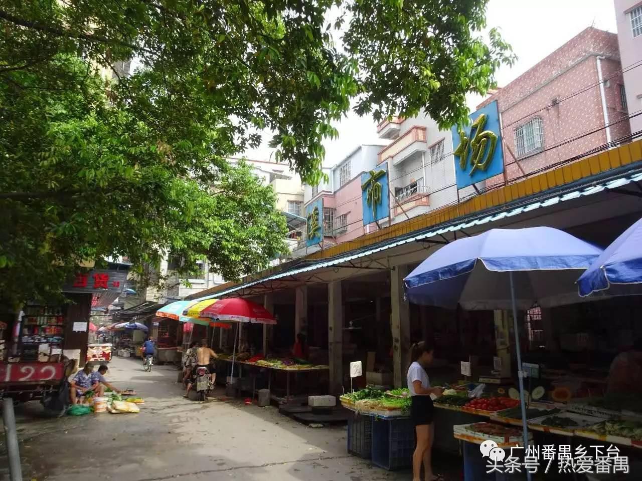 洛溪大桥为啥有个名字,洛溪大桥为什么叫洛溪大桥