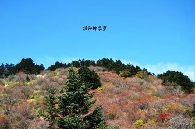 川西最美秋景,四川最美秋景