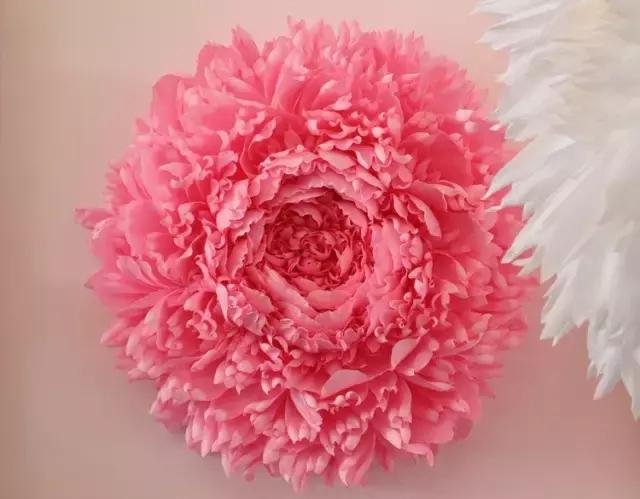 会枯萎腐烂的仿真花,会枯萎的花有什么