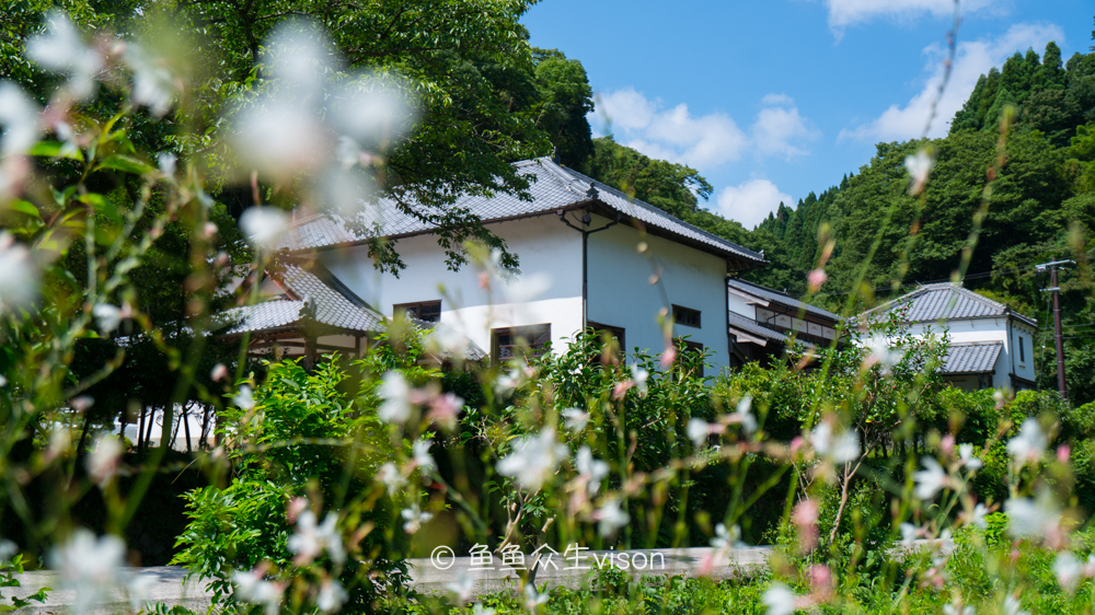 日本东京大阪最值得去的地方,日本大阪深度游攻略