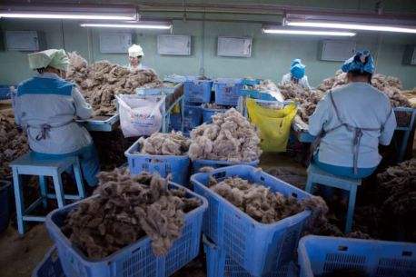 从蒙古国进口羊肉到中国,从蒙古国进口羊肉赚钱吗