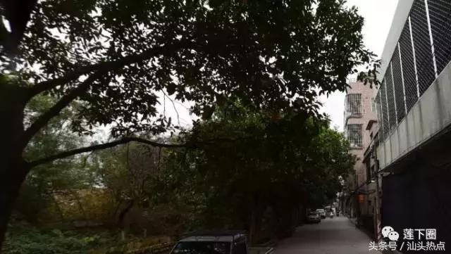 在莲下生活了这么多年，你可知哪个村人口最多？哪个村人口最少？