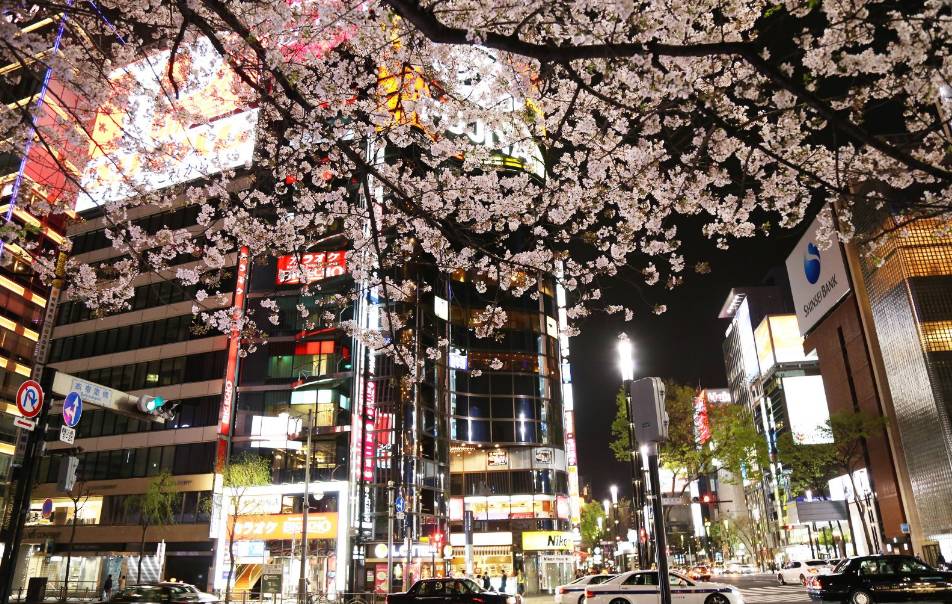 跟兔达人走世界——东京，追寻龙猫的足迹