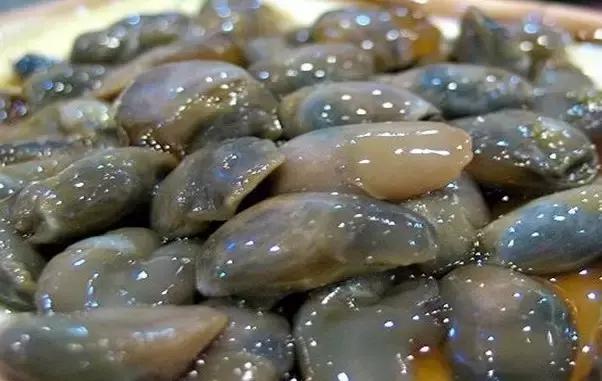 又到吃海鲜的季节咯！一位吕四渔民整理的海鲜大全，保证有你不认识的！