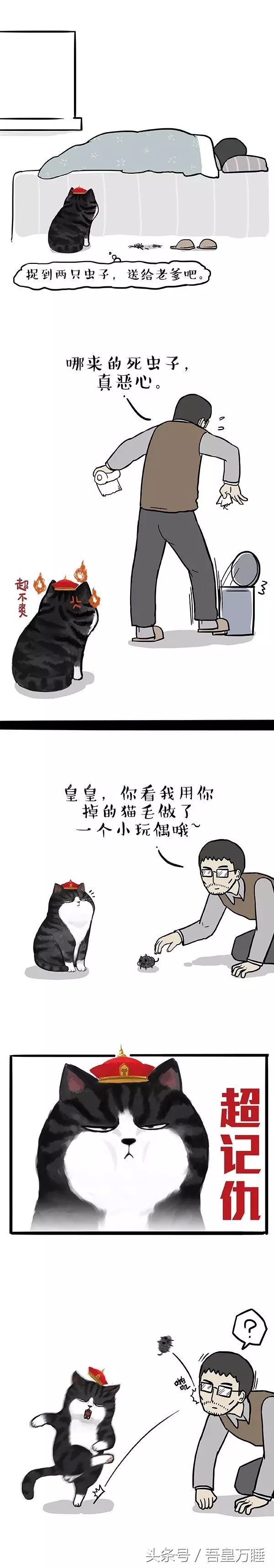 吾皇猫到底是个什么,吾皇猫现实叫什么