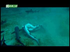 子宫日记解密生命孕育全过程,子宫日记央视纪录片