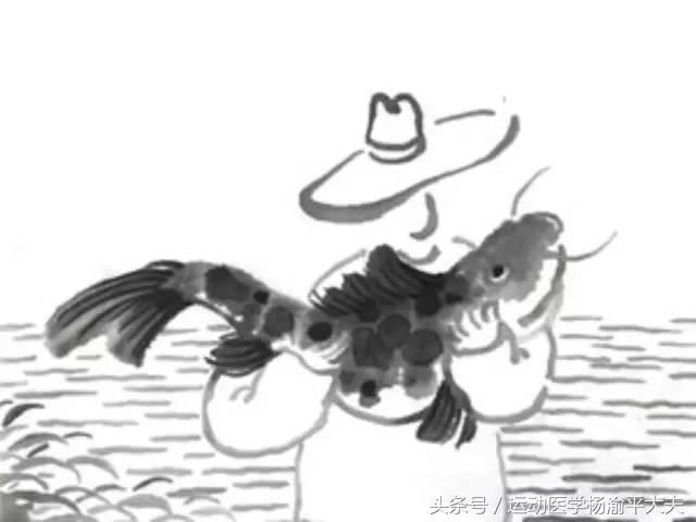 钓鱼和跑步冲突,钓鱼和打台球哪个好玩