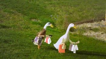 陈学冬回力鞋,陈学冬鞋子图片