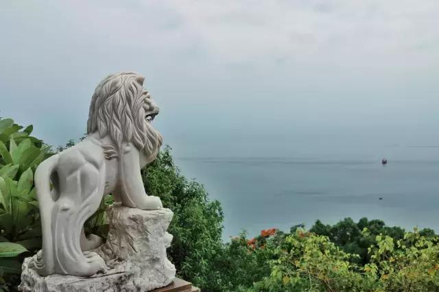 越南岘港5天自由行,越南岘港一天游出海