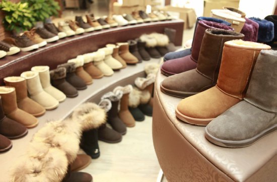 澳大利亚鲍鱼新西兰鲍鱼,澳大利亚顶级鲍鱼