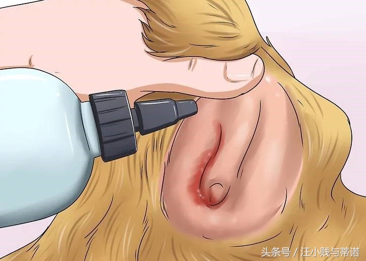 狗狗受伤用什么包扎比较好,狗狗的大伤口如何快速止血