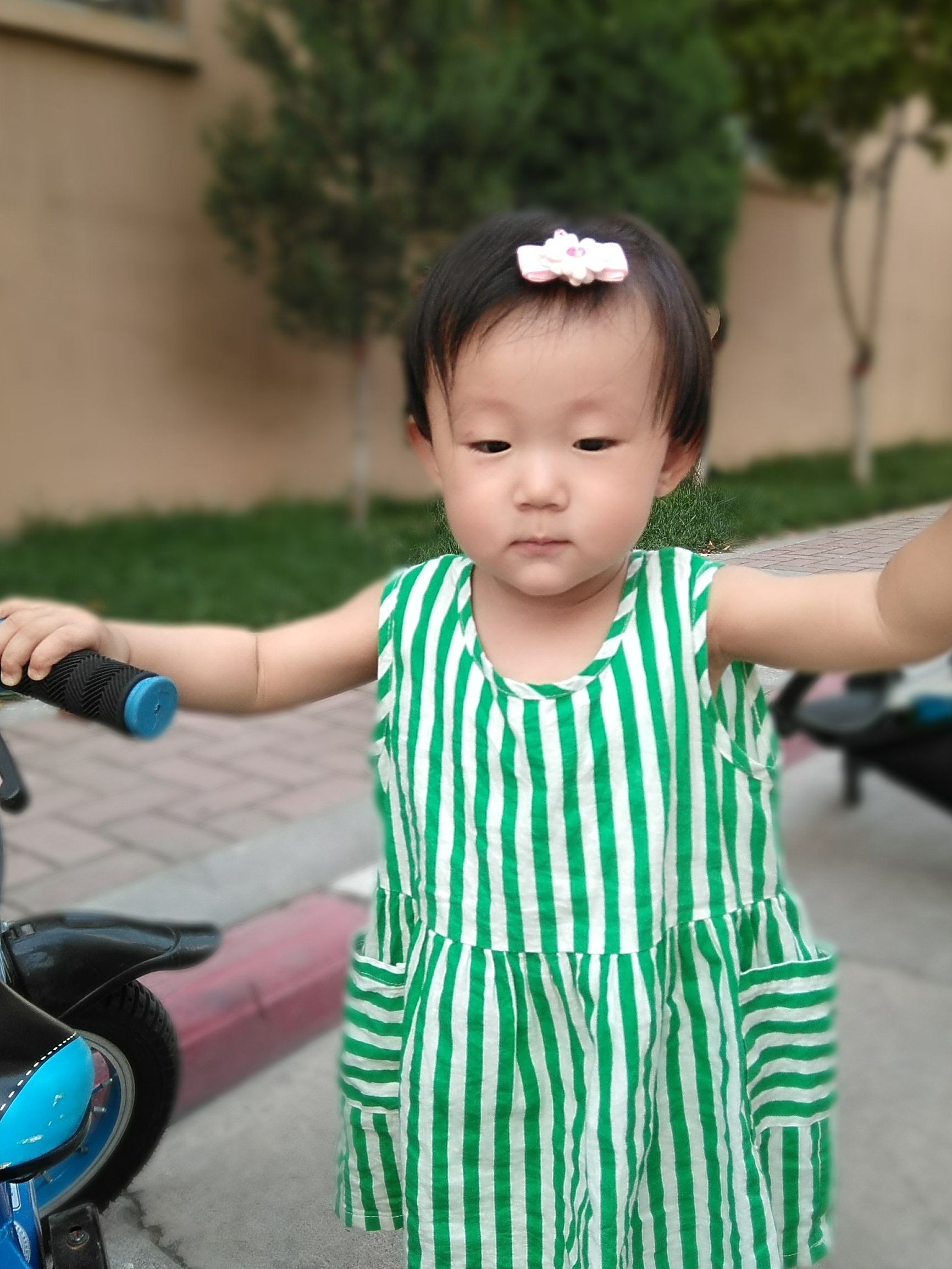 中兴小鲜5支持全网4g,手机除了处理器还有什么