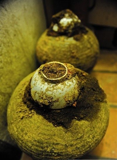 来自身边的“翔”,得知后你都可以做《女医》了!