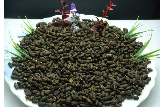 来自身边的“翔”,得知后你都可以做《女医》了!