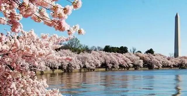 成都11月1日活动,11月9日成都活动