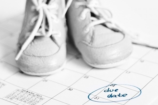 快要生产的征兆和应对方法,猫咪生产前兆和预兆