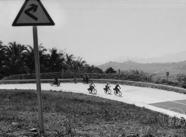 爱骑单车的男生,男生骑单车姿势超帅